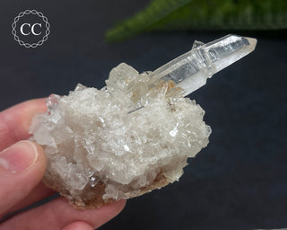 Clear Quartz Cluster #1