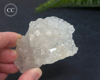 Clear Quartz Cluster #5