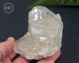 Clear Quartz Cluster #6