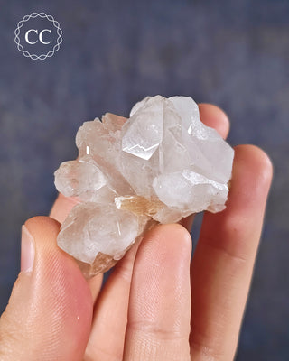 A hand holding a Clear Quartz cluster with Muscovite from Brazil