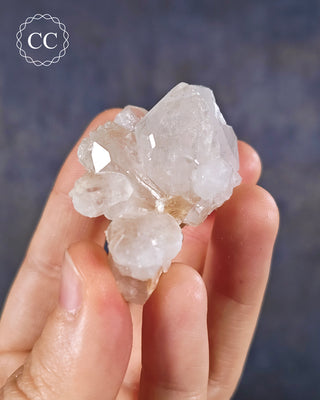 Clear Quartz Cluster with Muscovite #3
