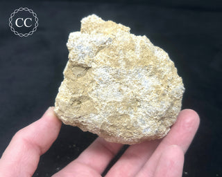 Quartz Geode #3