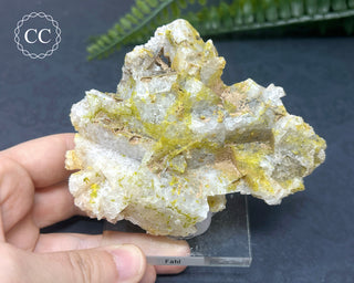 Quartz After Fluorite #1