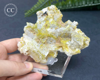 Quartz After Fluorite #1