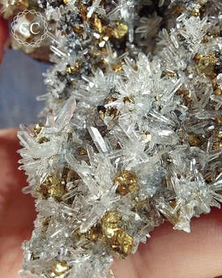 Quartz and Chalcopyrite - Bulgaria #11