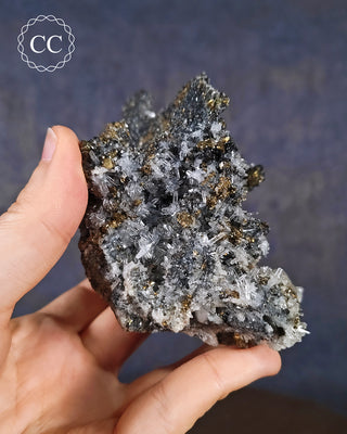 Quartz and Chalcopyrite - Bulgaria #11