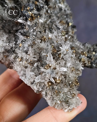 Quartz and Chalcopyrite - Bulgaria #11
