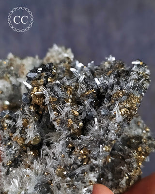Quartz and Chalcopyrite - Bulgaria #11