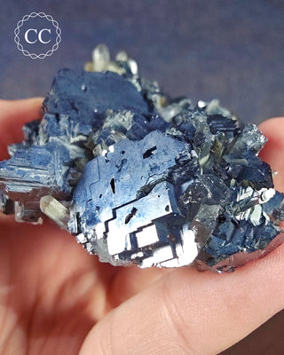 Quartz and Galena - Bulgaria #12