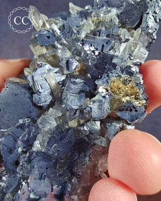 Quartz and Galena - Bulgaria #12