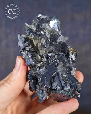 Quartz and Galena - Bulgaria #12