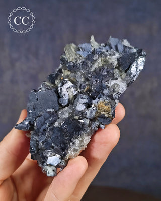 Quartz and Galena - Bulgaria #12