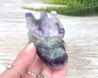 Rainbow Fluorite Dragon Skull #2