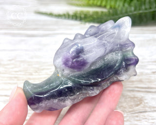 Rainbow Fluorite Dragon Skull #2