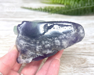 Rainbow Fluorite Dragon Skull #2
