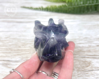 Rainbow Fluorite Dragon Skull #3