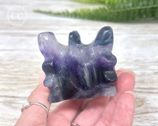 Rainbow Fluorite Dragon Skull #3