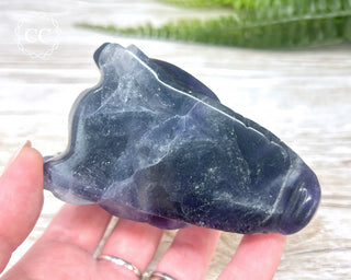 Rainbow Fluorite Dragon Skull #3