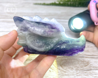 Rainbow Fluorite Dragon Skull #2
