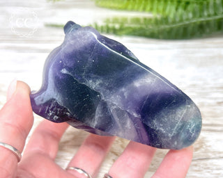 Rainbow Fluorite Dragon Skull #1