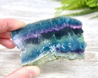Rainbow Fluorite Slice #5
