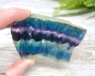 Rainbow Fluorite Slice #5
