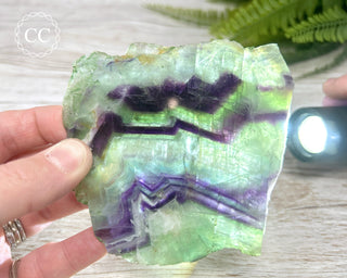 Rainbow Fluorite Slice #4