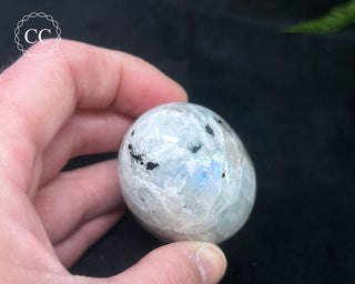 Rainbow Moonstone Egg #12