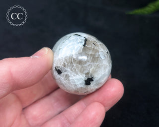 Rainbow Moonstone Egg #12
