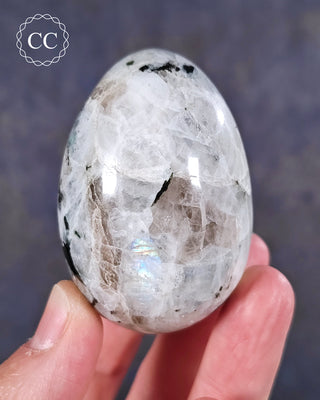 A hand holding a Rainbow Moonstone Egg from India