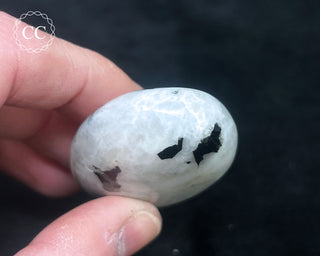 Rainbow Moonstone Chunky Palm Stone #5