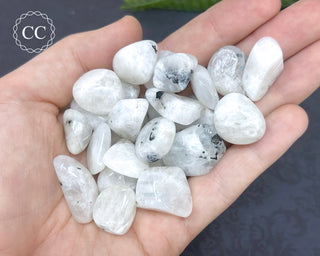 Rainbow Moonstone Tumbled Crystals in hand