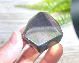 Rainbow Obsidian Freeform #10