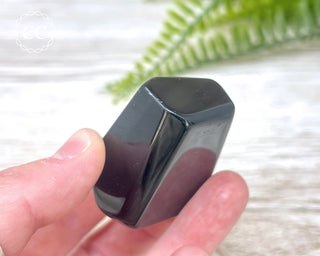 Rainbow Obsidian Freeform #11