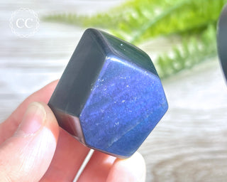 Rainbow Obsidian Freeform #13