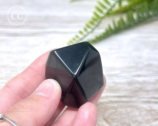 Rainbow Obsidian Freeform #10