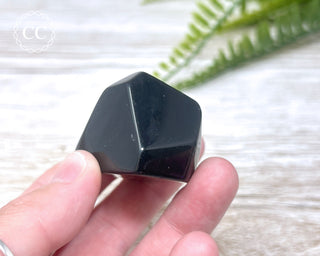 Rainbow Obsidian Freeform #10