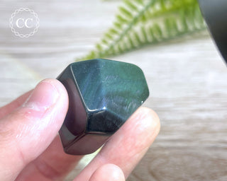 Rainbow Obsidian Freeform #12