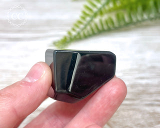 Rainbow Obsidian Freeform #12