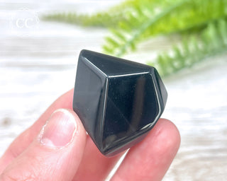 Rainbow Obsidian Freeform #3