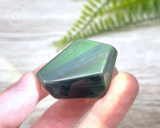 Rainbow Obsidian Freeform #13
