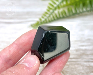 Rainbow Obsidian Freeform #13