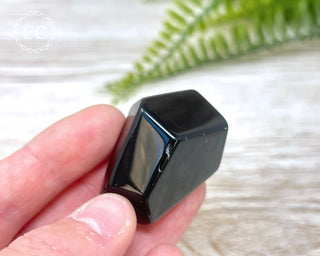 Rainbow Obsidian Freeform #13