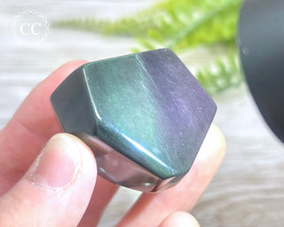 Rainbow Obsidian Freeform #4