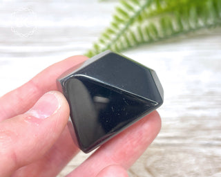Rainbow Obsidian Freeform #14