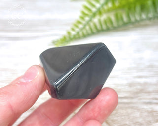 Rainbow Obsidian Freeform #14