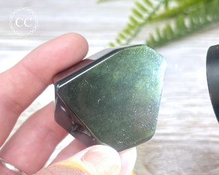 Rainbow Obsidian Freeform #4