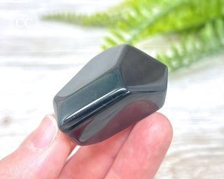 Rainbow Obsidian Freeform #6