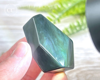 Rainbow Obsidian Freeform #8