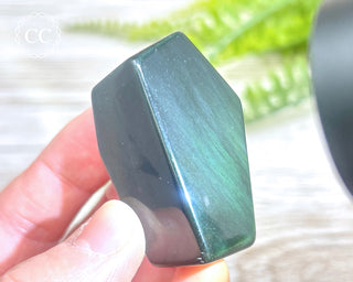 Rainbow Obsidian Freeform #8